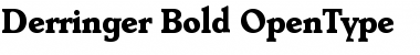 Download Derringer-Bold Font Download Derringer-Bold Font