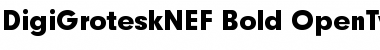 Download DigiGroteskNEF-Bold Font Download DigiGroteskNEF-Bold Font