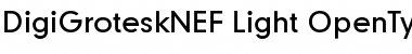 Download DigiGroteskNEF-Light Font Download DigiGroteskNEF-Light Font