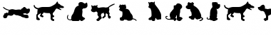Download Dog30 Font Download Dog30 Font