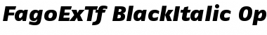 FagoExTf BlackItalic Font