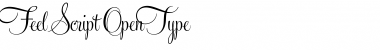 Download Feel Script Font Download Feel Script Font