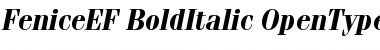 Download FeniceEF-BoldItalic Font Download FeniceEF-BoldItalic Font