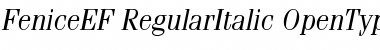 Download FeniceEF-RegularItalic Font Download FeniceEF-RegularItalic Font