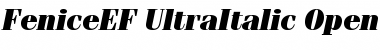 Download FeniceEF-UltraItalic Font Download FeniceEF-UltraItalic Font