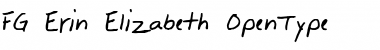 Download FG Erin-Elizabeth Font Download FG Erin-Elizabeth Font