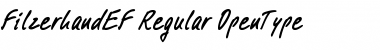 Download FilzerhandEF Font Download FilzerhandEF Font
