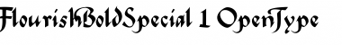 Download FlourishBoldSpecial Font Download FlourishBoldSpecial Font