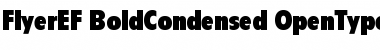 Download FlyerEF Font Download FlyerEF Font