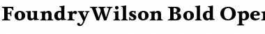 Download FoundryWilson Font Download FoundryWilson Font