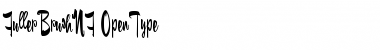 Download Fuller Brush NF Font Download Fuller Brush NF Font