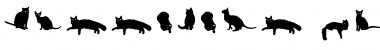 Download Gattofont Font Download Gattofont Font
