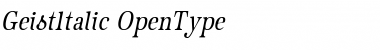 Download GeistItalic Font Download GeistItalic Font