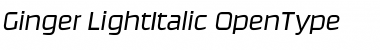 Download Ginger-LightItalic Font Download Ginger-LightItalic Font