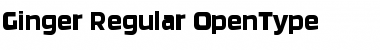 Download Ginger-Regular Font Download Ginger-Regular Font