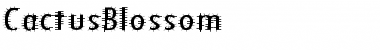 Download CactusBlossom Font Download CactusBlossom Font