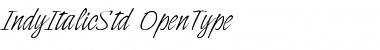 Download Indy Italic Std Font Download Indy Italic Std Font