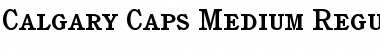 Download Calgary-Caps-Medium Font Download Calgary-Caps-Medium Font
