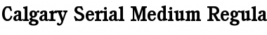 Download Calgary-Serial-Medium Font Download Calgary-Serial-Medium Font
