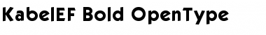 Download KabelEF-Bold Font Download KabelEF-Bold Font