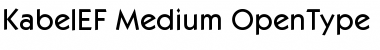Download KabelEF-Medium Font Download KabelEF-Medium Font