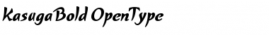 Download Kasuga Bold Font Download Kasuga Bold Font