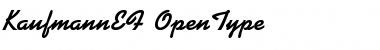 Download KaufmannEF Font Download KaufmannEF Font