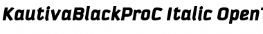 Download KautivaBlackProC Font Download KautivaBlackProC Font