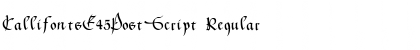 Download CallifontsE45PostScript Font Download CallifontsE45PostScript Font