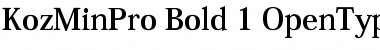 Download Kozuka Mincho Pro Font Download Kozuka Mincho Pro Font