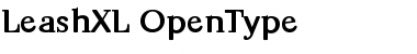 Download Leash Font Download Leash Font