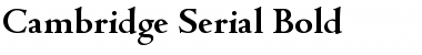 Download Cambridge-Serial Font Download Cambridge-Serial Font