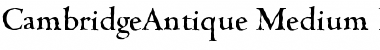 Download CambridgeAntique-Medium Font Download CambridgeAntique-Medium Font