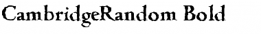 Download CambridgeRandom Font Download CambridgeRandom Font