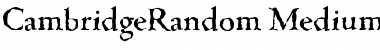 Download CambridgeRandom-Medium Font Download CambridgeRandom-Medium Font