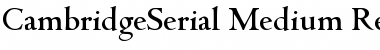 Download CambridgeSerial-Medium Font Download CambridgeSerial-Medium Font