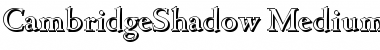 Download CambridgeShadow-Medium Font Download CambridgeShadow-Medium Font