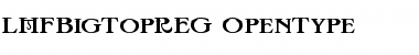 Download LHFBigTopREG Font Download LHFBigTopREG Font