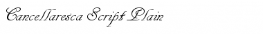 Download Cancellaresca Script Font Download Cancellaresca Script Font