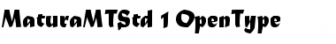 Download Matura MT Std Font Download Matura MT Std Font