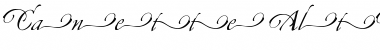 Download Canette-AltOne Font Download Canette-AltOne Font