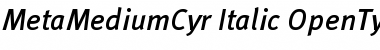 Download MetaMediumCyr-Italic Font Download MetaMediumCyr-Italic Font