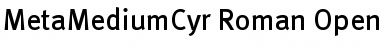 Download MetaMediumCyr-Roman Font Download MetaMediumCyr-Roman Font