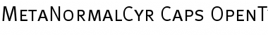 Download MetaNormalCyr-Caps Font Download MetaNormalCyr-Caps Font