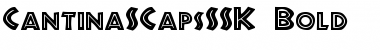 Download CantinaSCapsSSK Font Download CantinaSCapsSSK Font