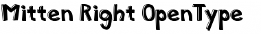 Download Mitten Font Download Mitten Font