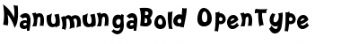 Download Nanumunga Bold Font Download Nanumunga Bold Font