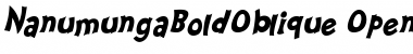 Download Nanumunga Bold Oblique Font Download Nanumunga Bold Oblique Font