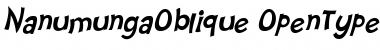 Download Nanumunga Oblique Font Download Nanumunga Oblique Font