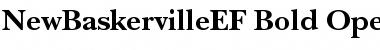 Download NewBaskervilleEF Font Download NewBaskervilleEF Font